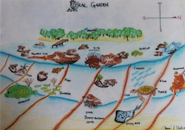 Coral Garden